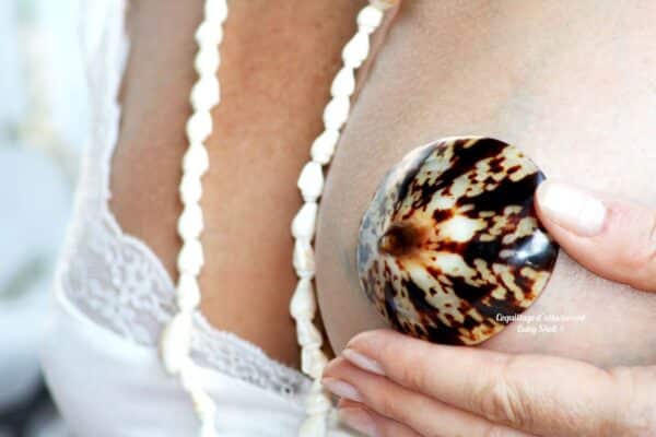 Coquillage allaitement Babyshell Produits