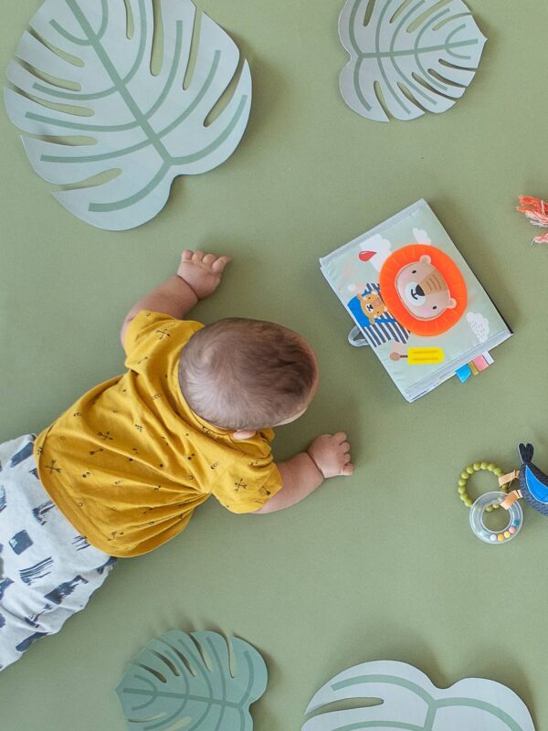 Livre chevalet miroir savane Taf Toys Produits