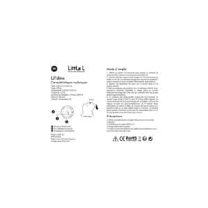 Veilleuse dinosaure blanche - Little L Produits
