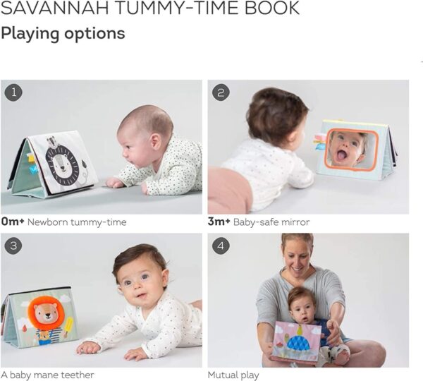 Livre chevalet savane - Taf Toys Produits