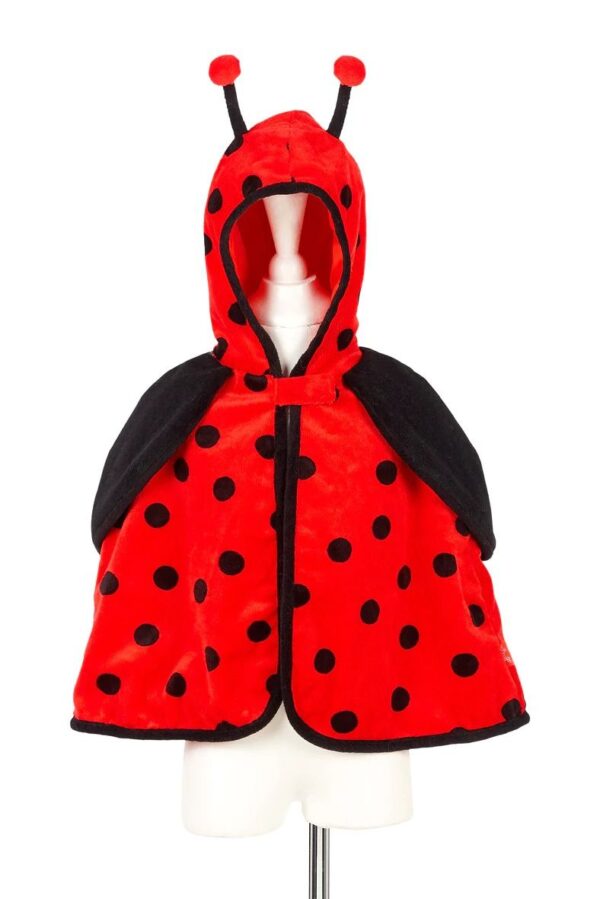 Cape déguisement Layla Ladybird 2 ans Souza Produits