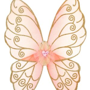 Ailes de Marielea Souza Produits