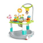 Centre d' activités Peek a zoo Bright Starts Produits