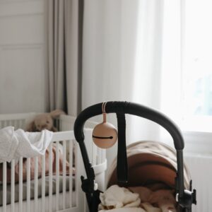 Boite de rangement tétines CloudyMauve – Mushie Produits