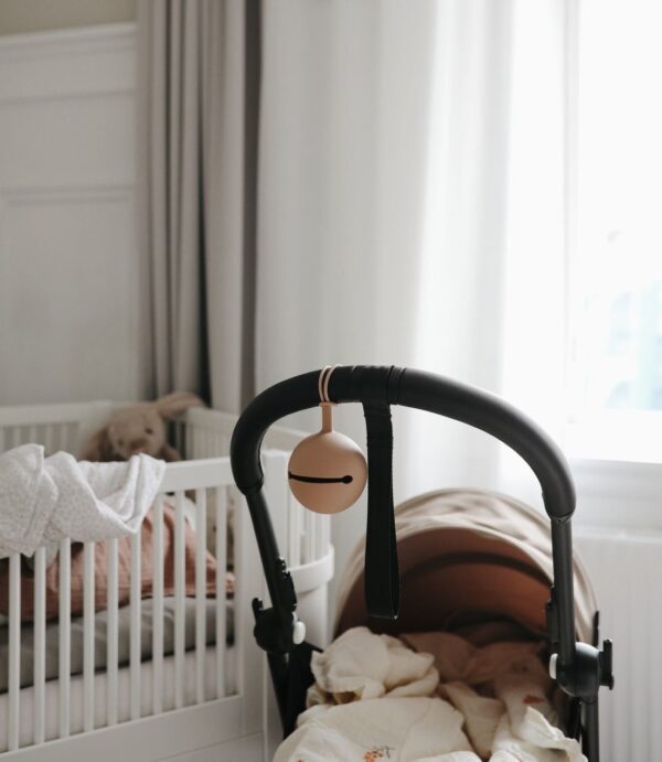 Boite de rangement tétines CloudyMauve – Mushie Produits