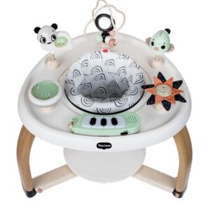 Centre d’activités stationnaire 5 en 1 - Tiny Love Produits