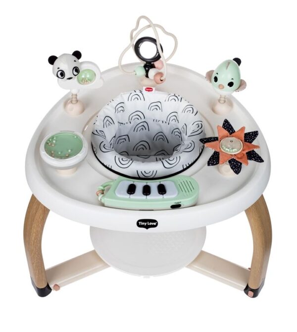 Centre d’activités stationnaire 5 en 1 - Tiny Love Produits