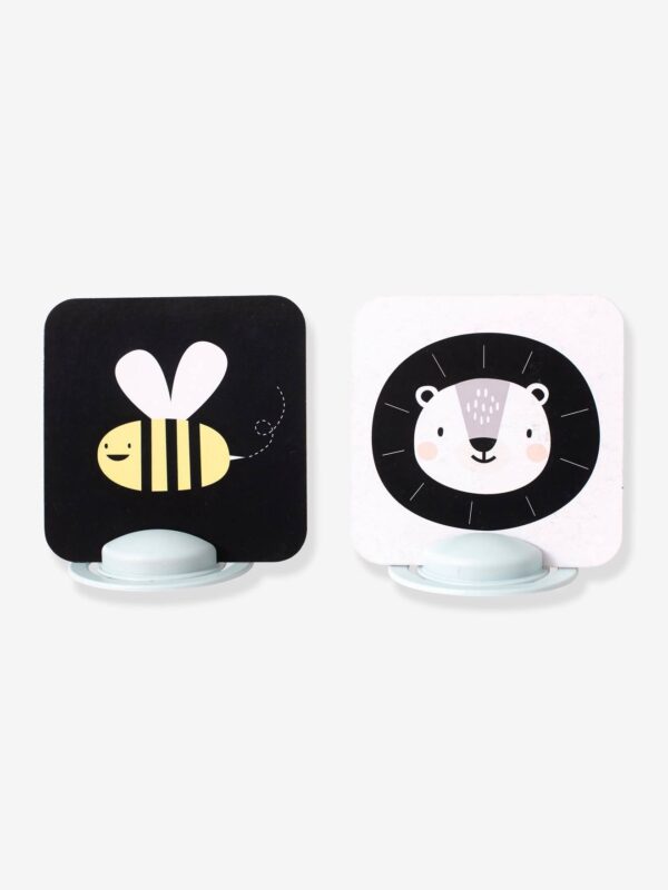 Cartes d'Activités - TAF TOYS Produits