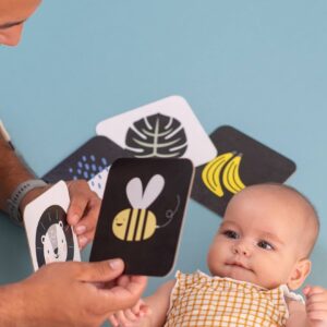 Cartes d'Activités - TAF TOYS Produits