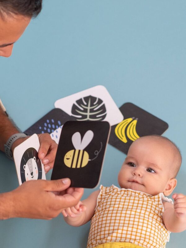 Cartes d'Activités - TAF TOYS Produits
