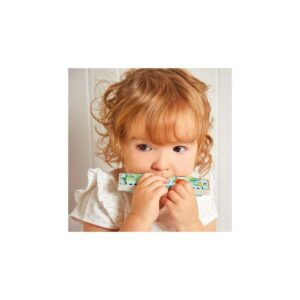 Harmonica - Janod Produits