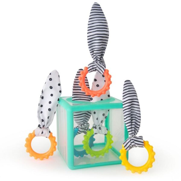 Cube sensoriel Rainbow Ring Drop - Sassy Produits